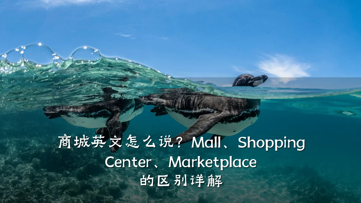 商城英文怎么说?Mall、Shopping Center、Marketplace 的区别详解