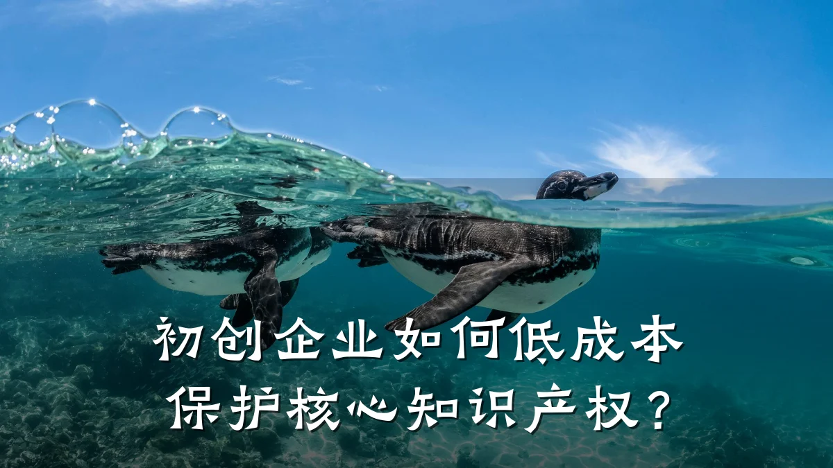 初创企业如何低成本保护核心知识产权？