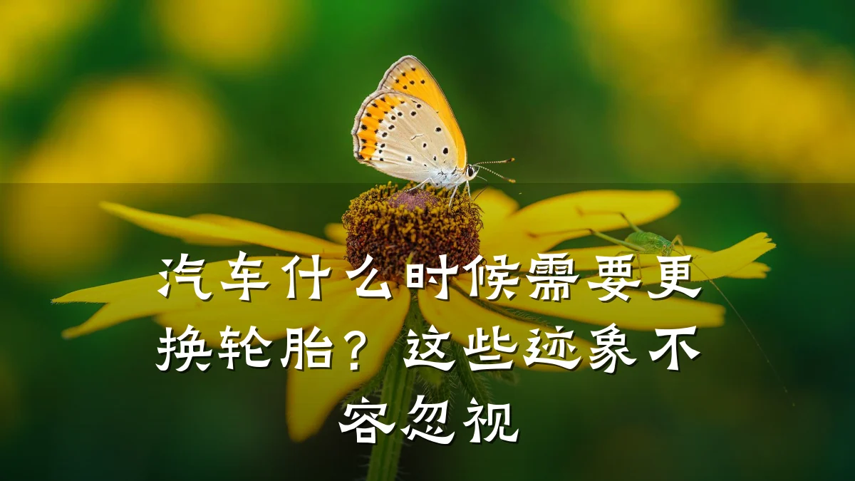 汽车什么时候需要更换轮胎?这些迹象不容忽视