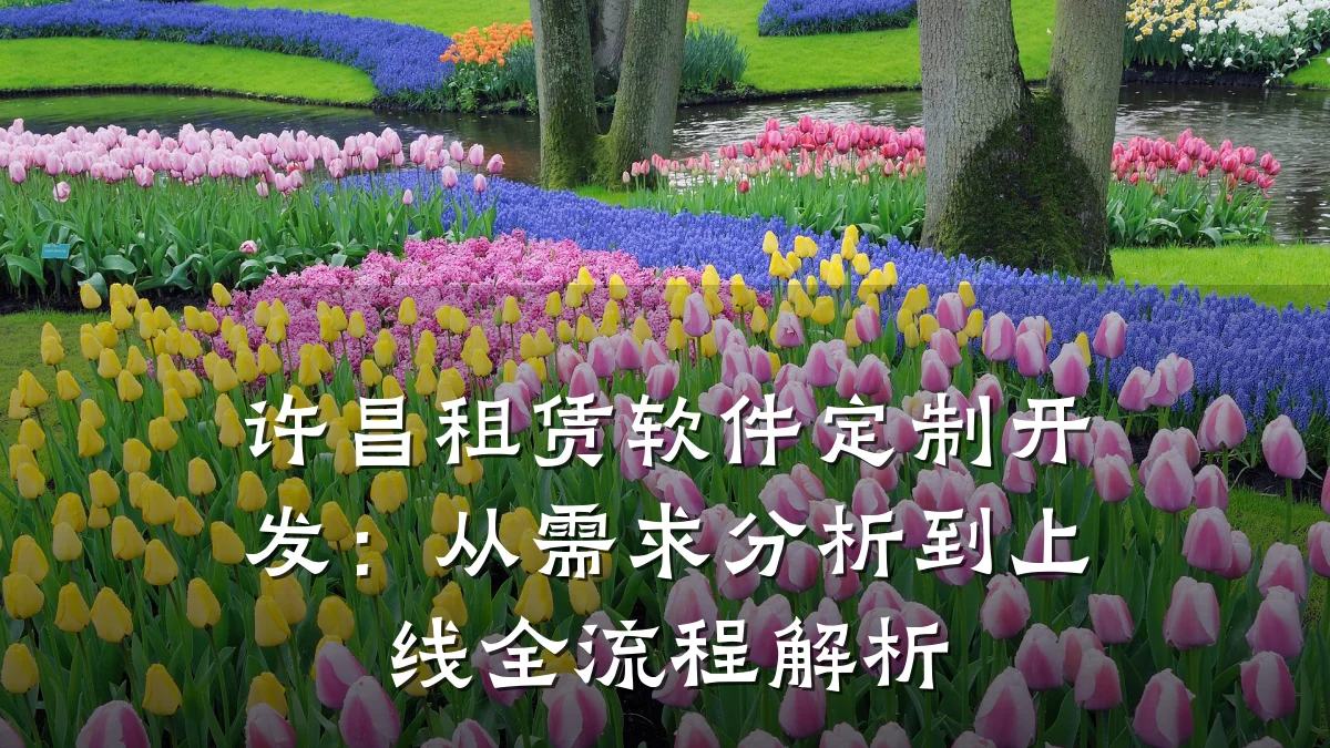 许昌租赁软件定制开发:从需求分析到上线全流程解析