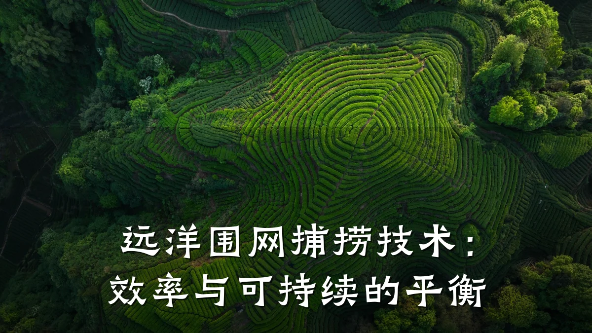 远洋围网捕捞技术：效率与可持续的平衡