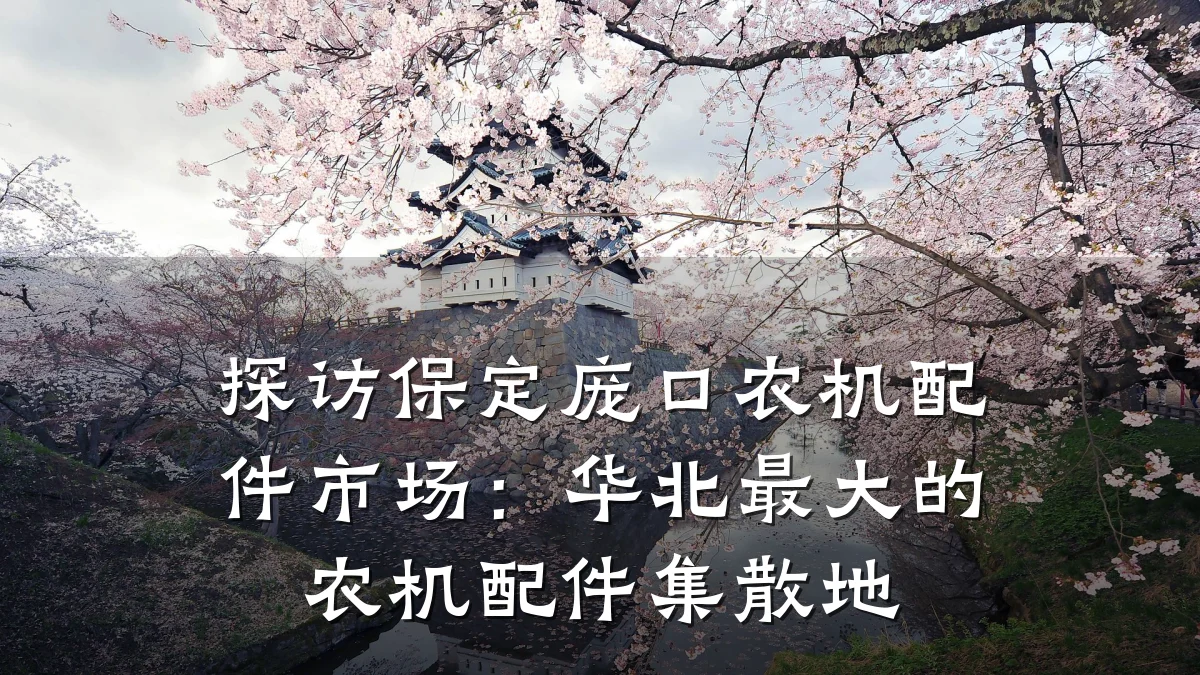 探访保定庞口农机配件市场:华北最大的农机配件集散地
