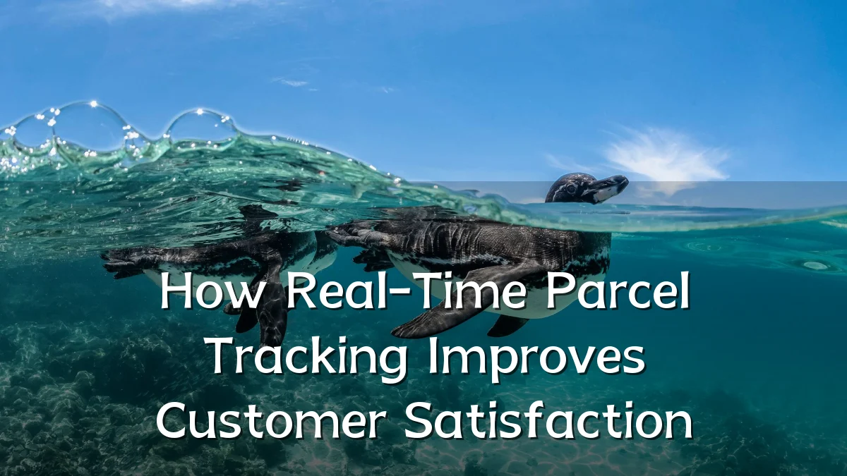 How Real-Time Parcel Tracking Improves Customer Satisfaction