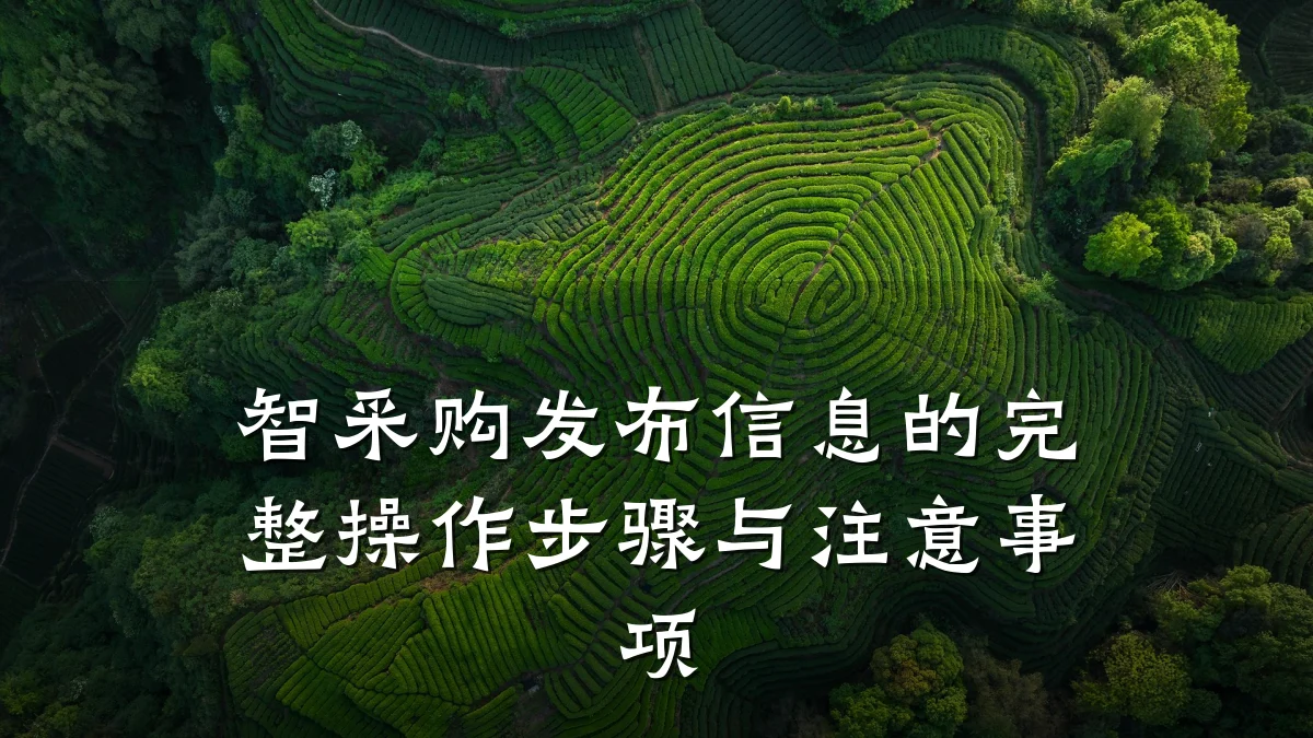 智采购发布信息的完整操作步骤与注意事项