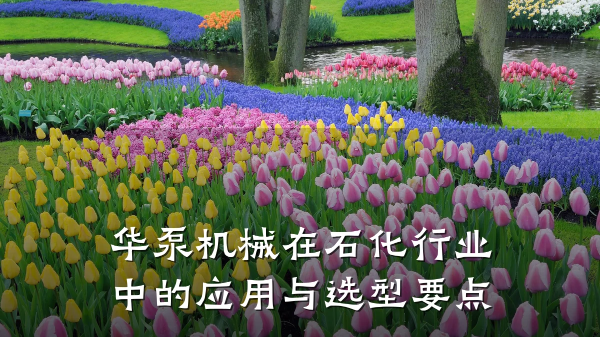 华泵机械在石化行业中的应用与选型要点
