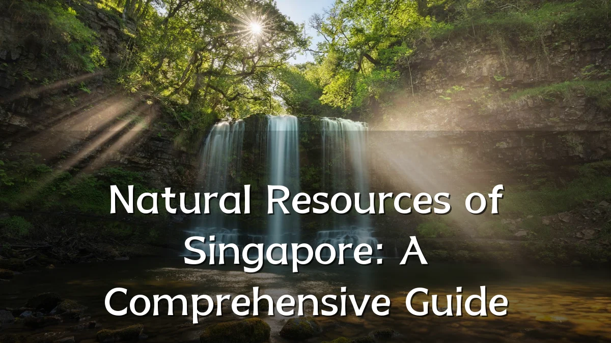 Natural Resources of Singapore: A Comprehensive Guide