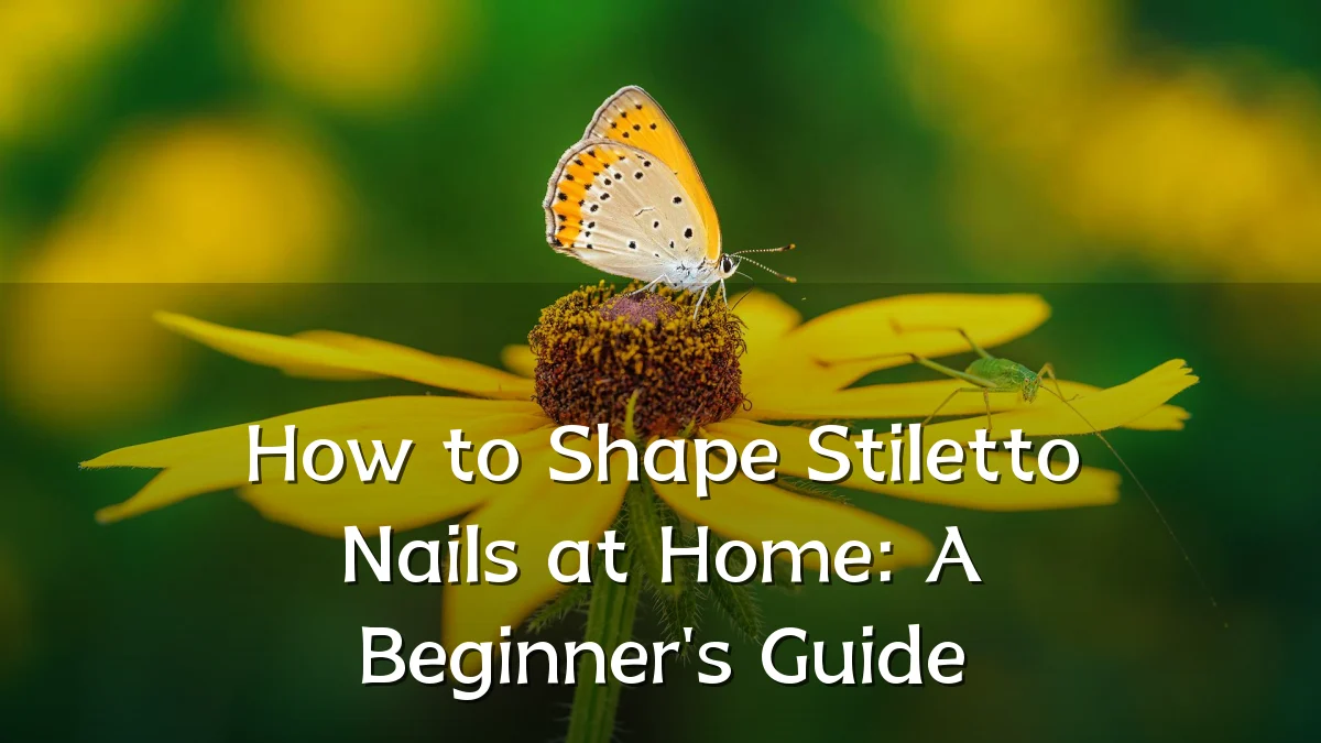 How to Shape Stiletto Nails at Home: A Beginner's Guide