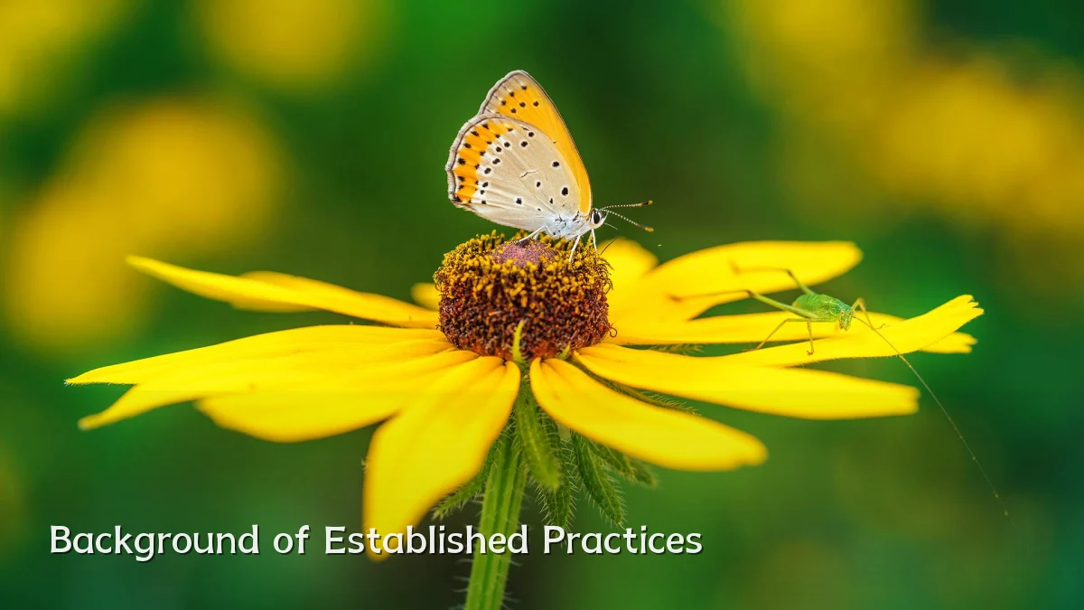 Background of Established Practices
