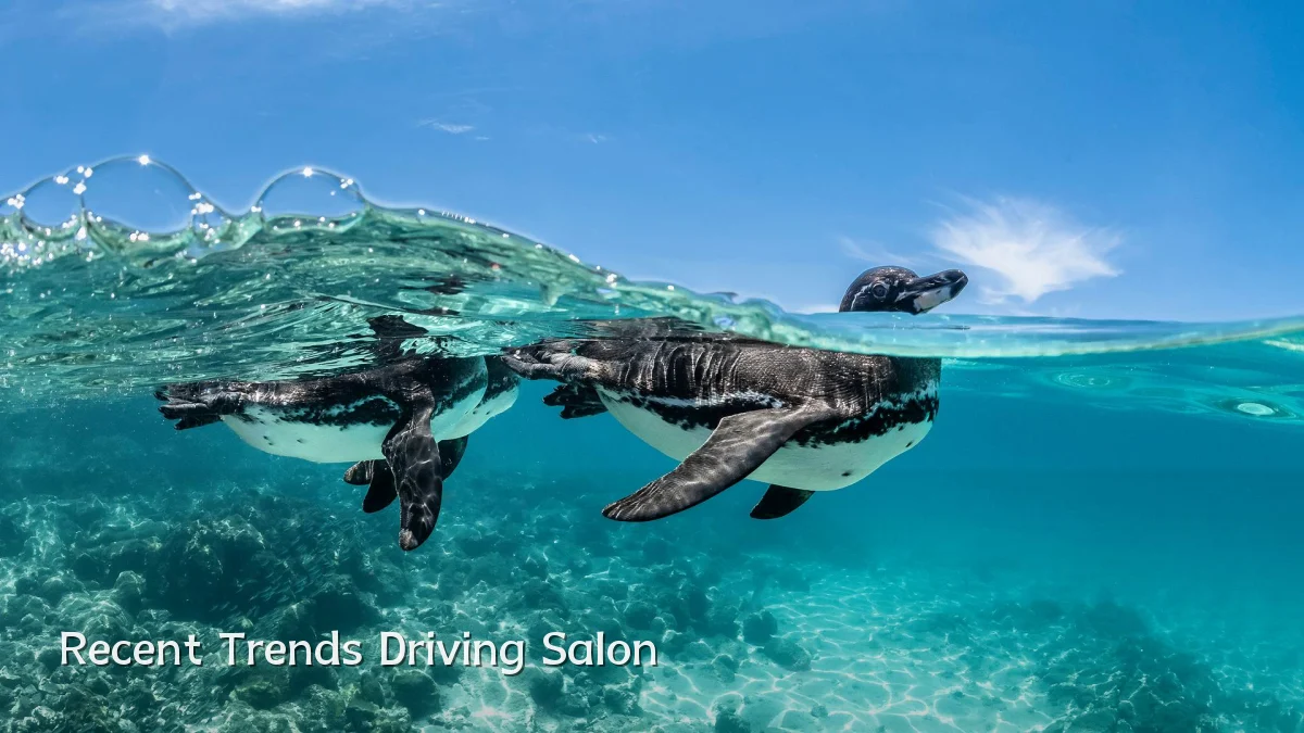 Recent Trends Driving Salon