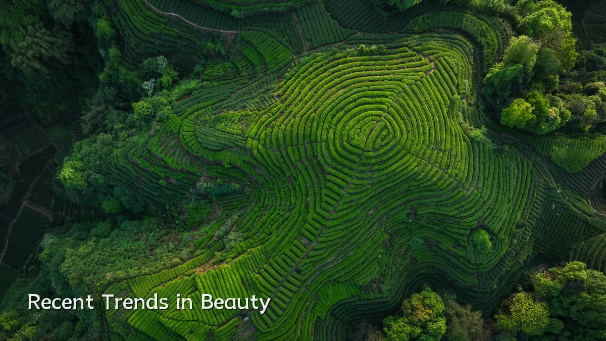 Recent Trends in Beauty