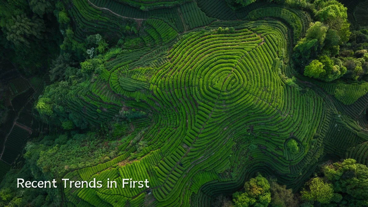 Recent Trends in First