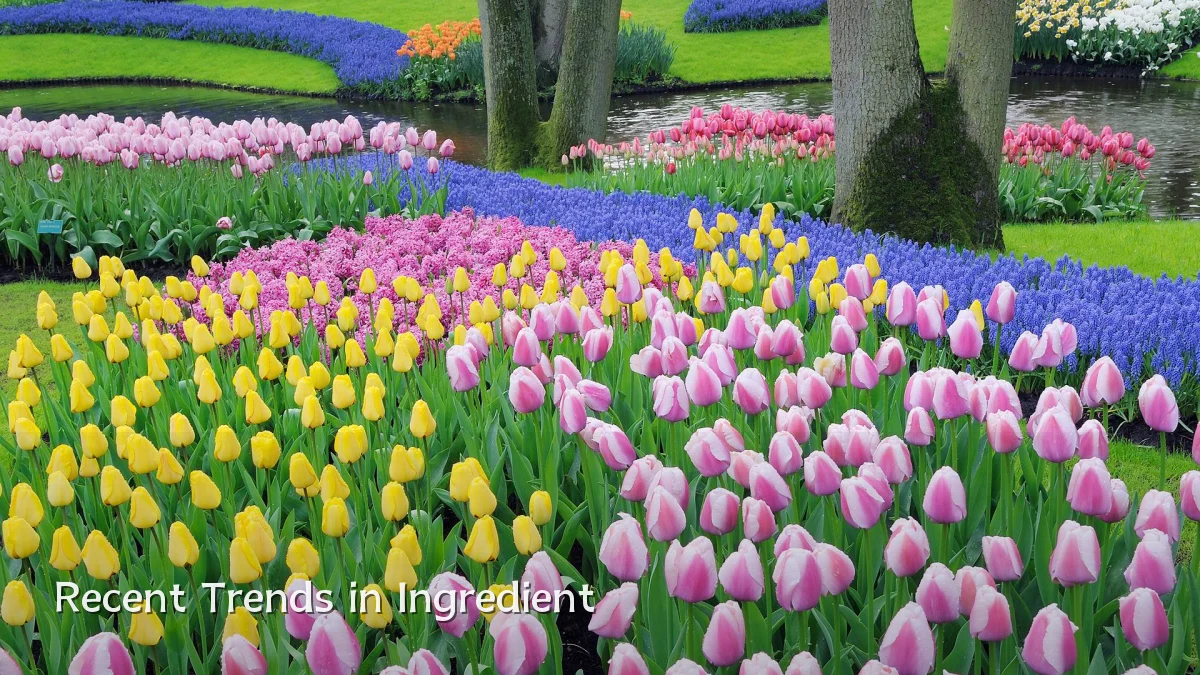 Recent Trends in Ingredient