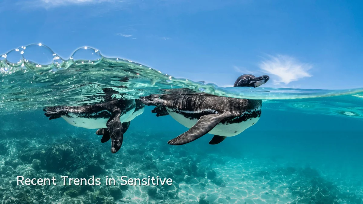 Recent Trends in Sensitive