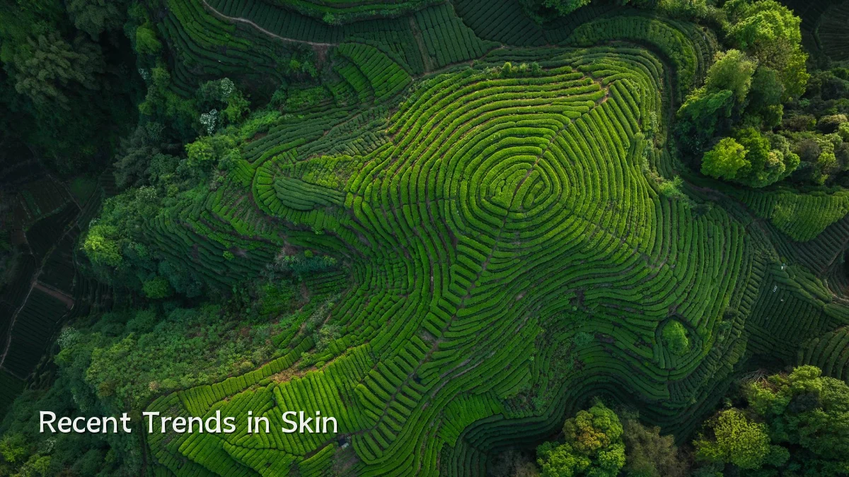 Recent Trends in Skin