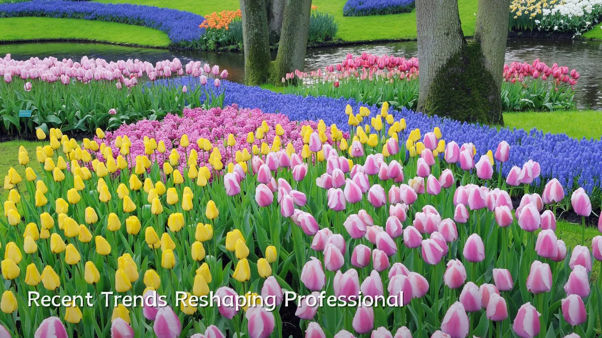 Recent Trends Reshaping Professional