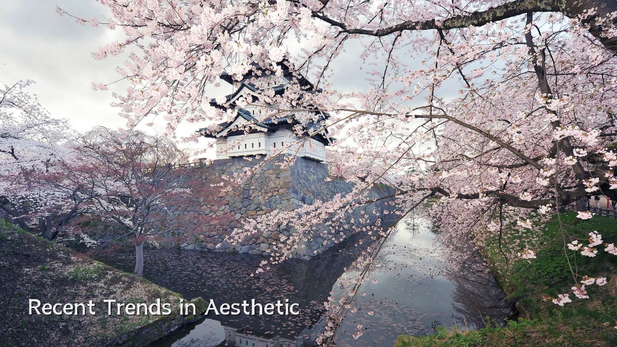 Recent Trends in Aesthetic