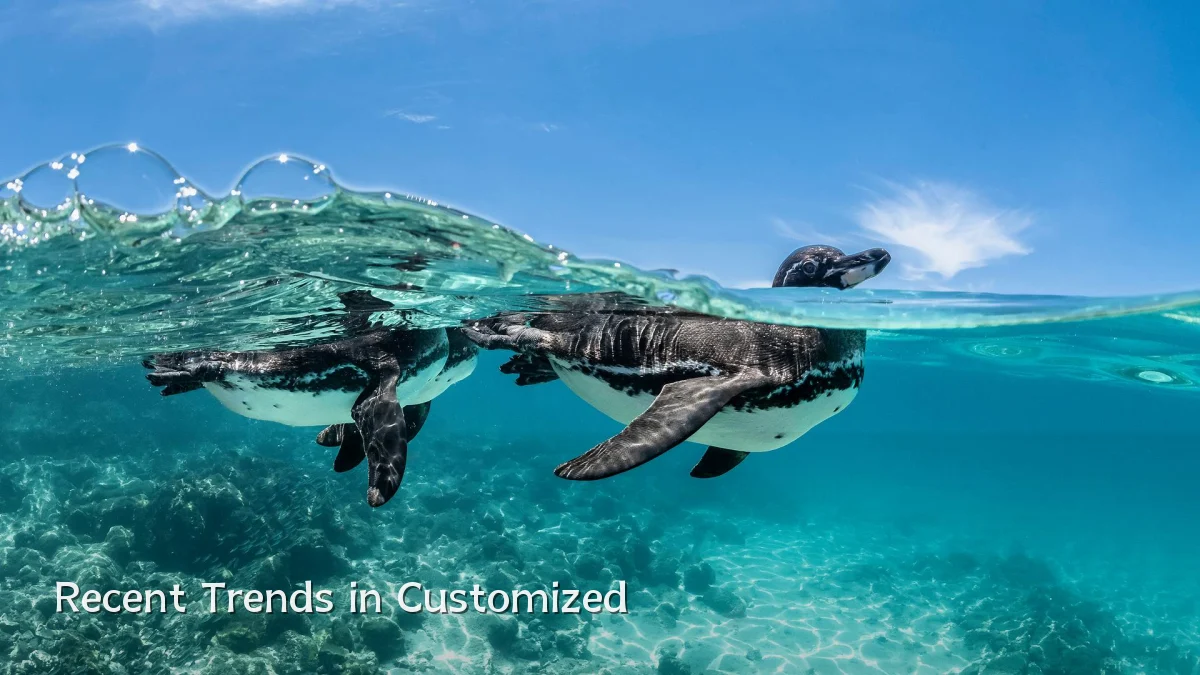 Recent Trends in Customized