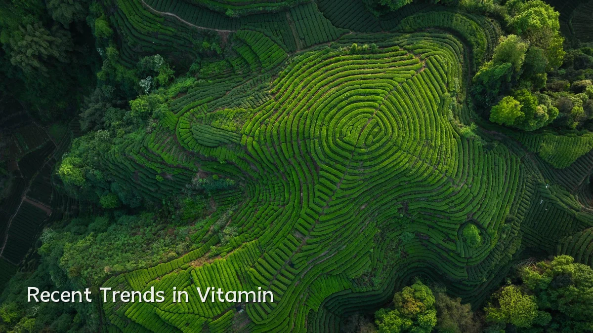 Recent Trends in Vitamin