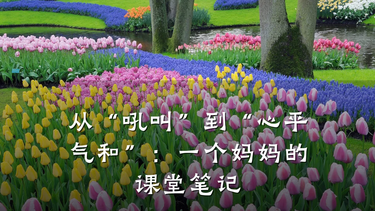 从“吼叫”到“心平气和”:一个妈妈的课堂笔记